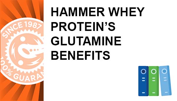 Beneficios de la glutamina de Hammer Whey Protein: nutriente que estimula la hGH