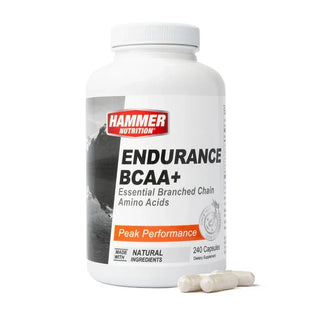 Hammer BCAA+, bote con 120 cápsulas de BCAA