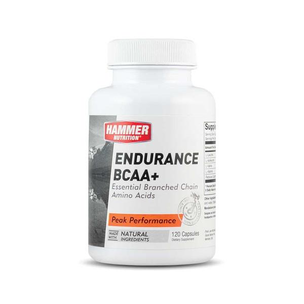 Endurance BCAA+#sep#default